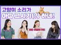 ※꿀잼 보장※ 정말 상상도 못했던 각 나라의 동물 소리들 ㅋㅋㅋㅋㅋㅋ  비슷할 줄 알았는데 이거 실화인가요??? | 구잘TV