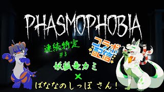 【phasmophobiaコラボ】色んなお兄ちゃんと連続特定目指すｺｬｧ！ 【妖狐竜 カミ】#3