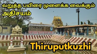 வறுத்த பயிரை முளைக்க வைக்கும் அதிசயம் , Thiruputkuzhi , Vijayaraghava Perumal temple