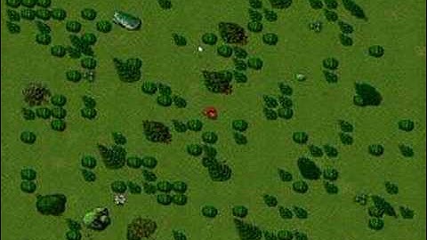 Open-tibia Tutorial, The perfect nature