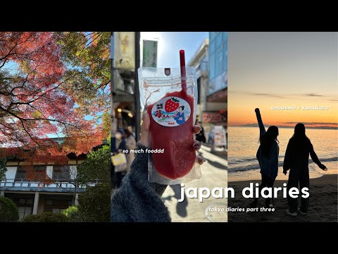 japan diaries🌸 winter season, enoshima + kamakura, street food, peaceful exploring, etc...