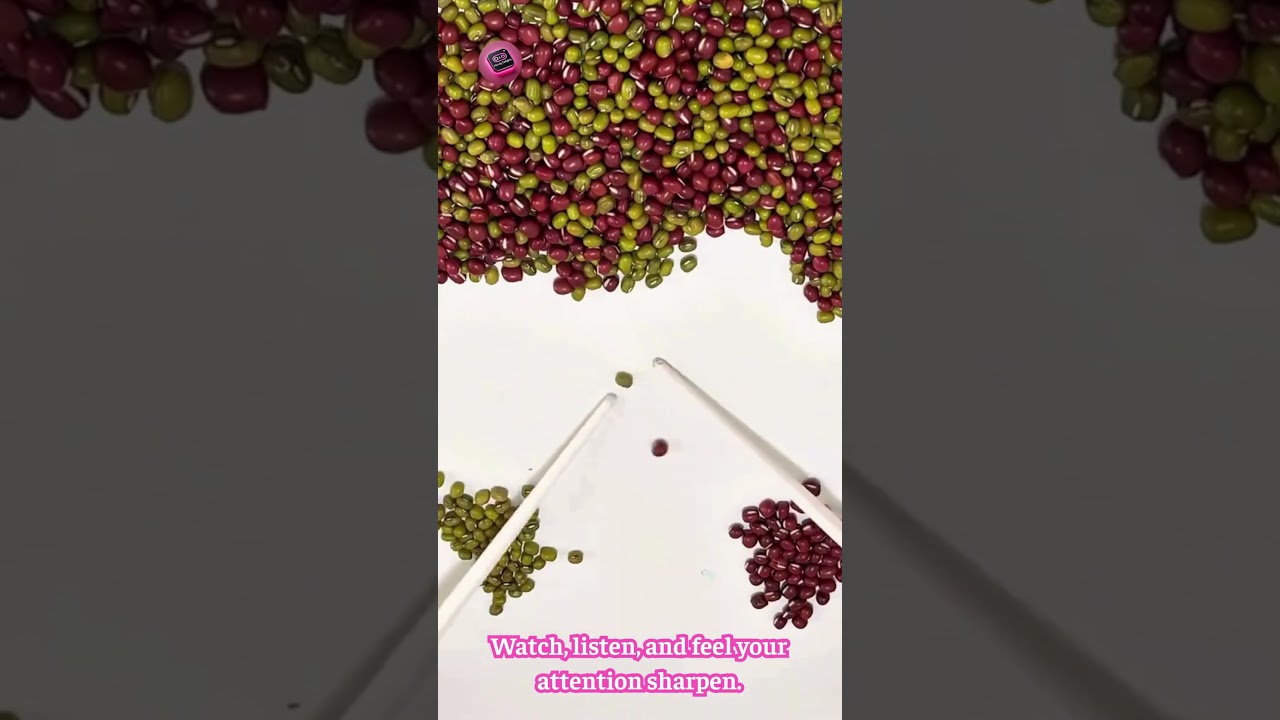 ASMR Bean Sorting That Instantly Boosts Focus and Calm