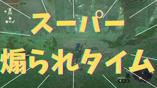 【ゼルダの伝説 ティアーズオブザキングダム】スーパー煽られタイム