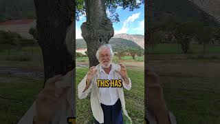 “Sacred Geometry, Conscious Architecture & Wellbeing” Online Congress w. Dan Winter:  geophilia.org