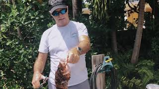 Cayman Marine Lab - LIONFISH