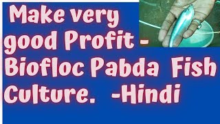 Make  Good Profit in Pabda Fish Farming in Biofloc Culture- Profitable Biofloc Fish Farming in India