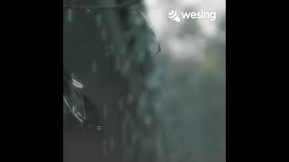 This Video Is From Wesing