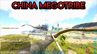 The Chinese Megatribe Invasion of South One