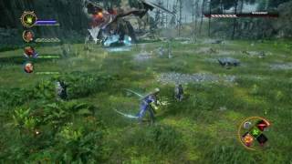 Dragon Age™: Inquisition Dragon Island