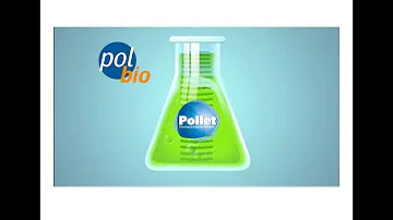 Co je polyp?