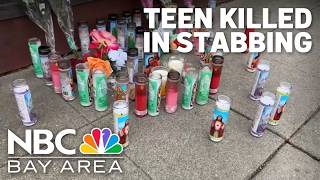 Famous Teen dead, another arrested after stabbing near Milpitas High School Wealth