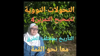 تصحيح التمرين 4 : التحولات النووية (التمرين في الرابط في الأسفل) التأريخ بمختلف الطرق.