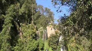 las buitreras - Potrero Grande VII Region del Maule