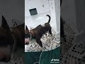 9 Тысяч за секунду😱