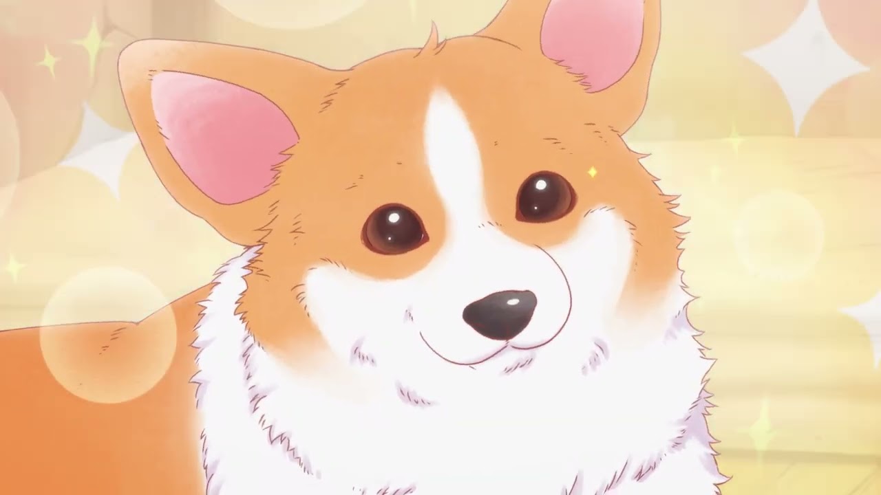 殿と犬～もふもふ～』相葉雅紀ver. 第1話／『The corgi and the