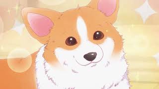 殿と犬もふもふ相葉雅紀Ver. 第1話The Corgi And The Samurai Mofumofu Masaki Aiba Ver. Episode 01