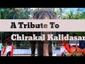 Aa Kombanana Ee Kombanan Chirakal Kalidasaan Elephat Song 