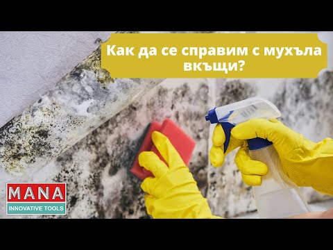 Видео: Как да третираме стена от мухъл и плесен? Ефективни средства в борбата с мухъл и гъбички