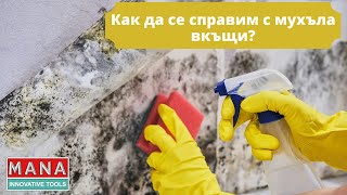 Как да се справим с домашен мухъл? Въпрос от Деси Костадинова от Австрия.