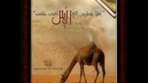 سورة الغاشية بصوت القارئ محمد البراك