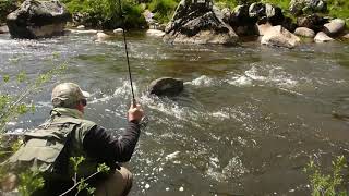Pêche À La Mouche Sur Laubrac - Le Bès