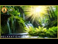 🔴 Relaxing Music 24/7, Meditation, Sleep Music, Calm Music, Healing, Zen, Relax, Spa, Flowing Stream