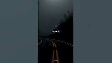 تلاوة الشيخ ماهر المعيقلي التي تنقلك إلى عالم السكينة! - راحة نفسية لا مثيل لها #ماهر_المعيقلي