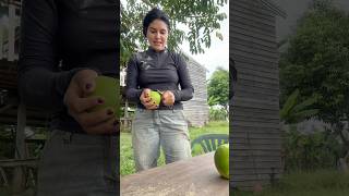 Primeiras laranjas do sítio