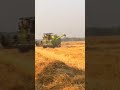 ✨💪🌾