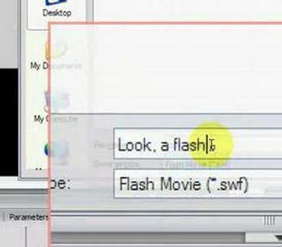 How to export a Flash 8 Pro Animation