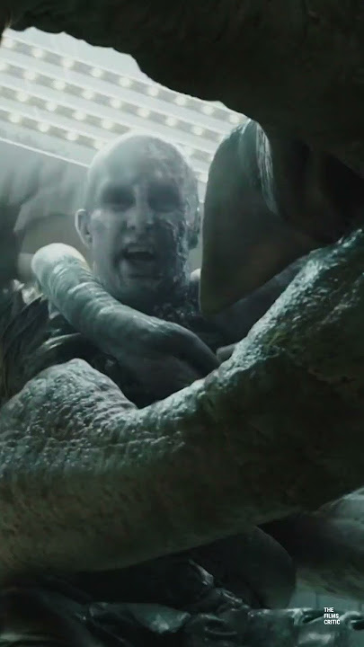 The REAL Alien Vs. Predator! #prometheus #alien #alienromulus #predator #ridleyscott #shorts
