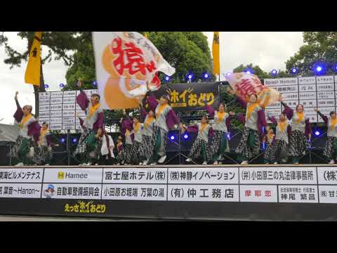 猿子舞隊　猿楽（2019えっさホイおどり・メイン会場）
