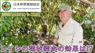 レイジェスのけし畑 一面のケシ畑・・・・。 : Paint It Green × カリフォルニア