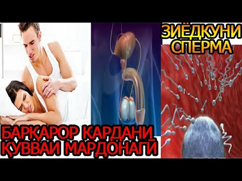 ҚУВВАИ МАРДОНАГИ.ЗИЁД КАРДАНИ СПЕРМА. БАРҚАРОР КАРДАНИ ҚУВВА ВА ОЛОТИ МАРДОНА. КАНЗИ ШИФО