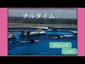 チルタイム♪ 2026.5.19 12:02