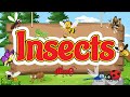 Common Insect Names for Kids | Bugs for Kids | Introduction to Insects