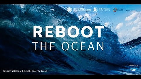Reboot The Ocean Challenge
