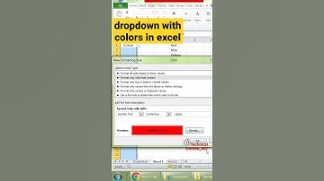 Dropdown with colors in Msexcel #dropdown #colors  #excel #exceltips #exceltutorial #exceltricks