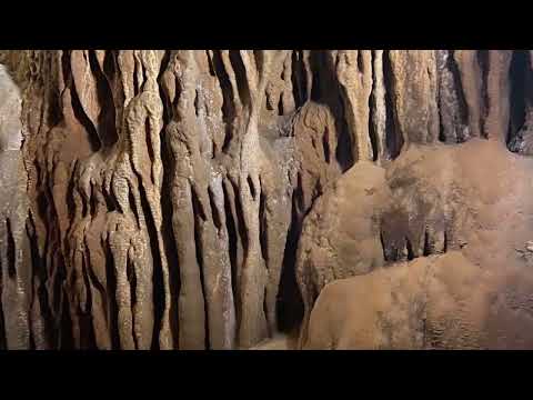 Deloraine and Mole Creek Caves Tasmania.  Travel Australia with your dog.