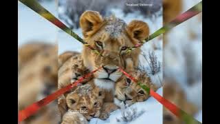 ALEX RASOV -BE MY INSPIRATION