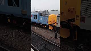 SVR diesel bash 2025 Class 37 parked at Kidderminster #severnvalleyrailway