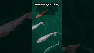 Arti mimpi melihat banyak ikan koi