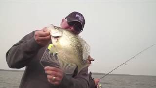 Sunset Country Crappie- A must-fish lake