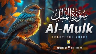 Surah Al Mulk سورة الملك (The Kingdom)| Beautiful Recitation | Ramadan Special 2024 | Zikrullah Tv