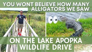 Lake Apopka Wildlife Drive Review | Alligator Spotting | WALT DISNEY WORLD VLOGS