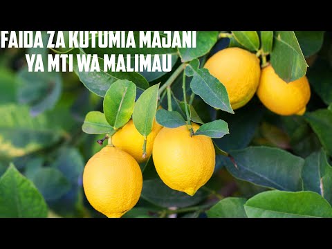 Video: Tunaandaa kitalu: Samani ambazo zinaamsha mawazo ya mtoto