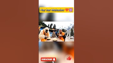 My 1st  vlog || ai monkey vlogs || ai monkey shorts ||#monkey #ai #shorts #ytshorts