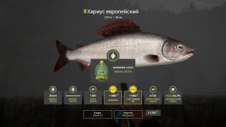 рр4 Хариус Европейский на поплавок. река Белая. Экстра квест №4