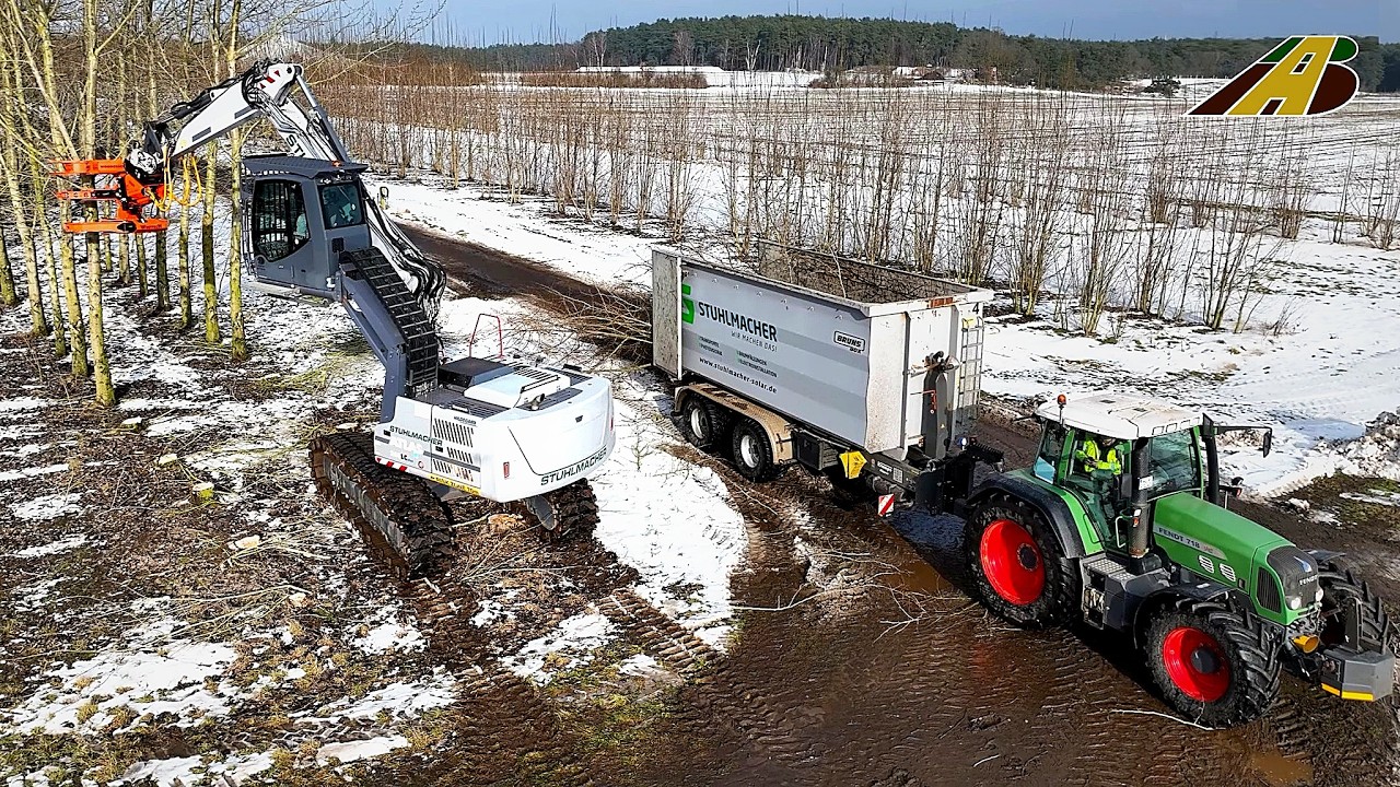 Pappelbäume ernten mit Großbagger - Landwirtschaft & Holzwirtschaft - neue Wertschöpfung Pappelholz