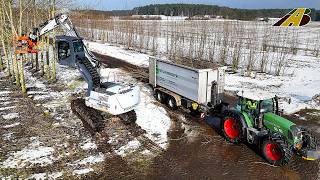 Pappelbäume ernten mit Großbagger - Landwirtschaft &amp; Holzwirtschaft - neue Wertschöpfung Pappelholz